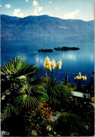 25-4-2024 (3 Z 3) Italy - Ronco S/Ascona (flowers) - Arbres