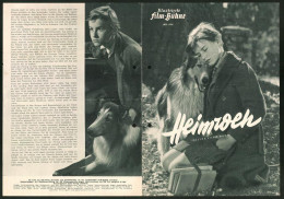 Filmprogramm IFB Nr. 616, Heimweh, Roddy Mc Dowall, Donald Crisp, Lassie, Regie: Fred M. Wilcox  - Revistas