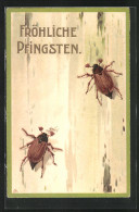 AK Maikäfer Sitzen Auf Einem Baumstamm, Pfingstgruss  - Insects