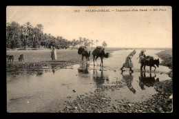 ALGERIE - SAHARA - OULED-DJELAL - TRAVERSEE D'UN OUED - CHAMEAUX - Andere & Zonder Classificatie