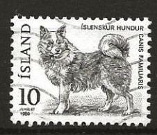 Iceland Island 1980 Native Animals.Icelandic Dog (Canis Familiaris MI 550 Cancelled(o) - Used Stamps