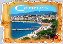 25-4-2024 (3 Z 5) France - Cannes (shape Card) Valençay Castle Stamp - Cannes