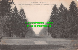 R494902 Domaine De Guise. 20. Foret Du Nouvion En Thierache. Avenue DAumale. P. - World