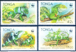 Fauna. WWF. Iguana 1990. - Tonga (1970-...)