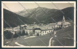 Trento Pinzolo Madonna Di Campiglio Foto Cartolina ZB0776 - Trento