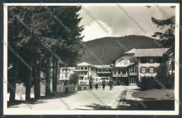 Trento Pinzolo Madonna Di Campiglio Foto Cartolina ZB0779 - Trento