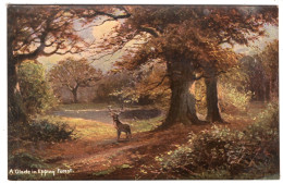 A Glade In Epping Forest - Hildesheimer 5130 - Other & Unclassified