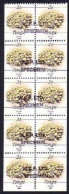 Tonga 1990 2s Coral Booklet Pane With 5 Pairs Hand Stamped Specimen + Imperf Sides & Bottom Of Pane - Read Description - Crustaceans