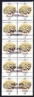 Tonga 1990 2s Coral Booklet Pane - 5 Pairs Hand Stamped Specimen + Imperf Sides & Bottom Of Pane - Read Description - Tonga (1970-...)