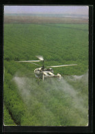 AK KA-26 Hubschrauber Fliegt über Ein Feld  - Helicopters