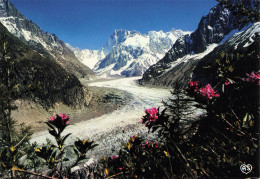 CPSM Chamonix Mont Blanc-Mer De Glace    L2867 - Chamonix-Mont-Blanc