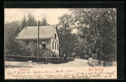 AK Bad Bertrich, Gasthaus Elfenmühle Mit Strassenpartie  - Bad Bertrich