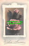 R495313 Wishes Sincere. Roses. E. A. Schwerdtfeger. 1912 - World