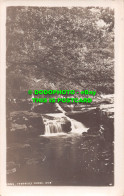 R495585 Ivybridge Woods. Postcard - World