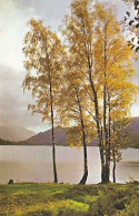 AK 214763 ENGLAND - Ullswater From Glencoyne Bay - Andere & Zonder Classificatie