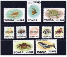 Tonga 1995/6 Marine Life Complete Set Of 10 To $5 Whale & $10 Shark Specimens - Marine Life