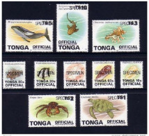 Tonga 1995/6 Marine Life Officials - Complete Set Of 10 To $5 Whale & $10 Shark Specimens - Marine Life