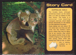 Australia Koala, Mailed - Bears