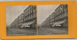 RU // Vintage // Photo Stéréoscopique Algérie ALGER Boulevard De La République // Calèche Rail Tramway Commerces - Photos Stéréoscopiques