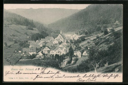 AK Bad Teinach Im Schwarzwald, Generalansicht Der Ortschaft  - Bad Teinach