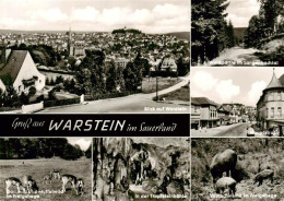 73893977 Warstein Ortsansicht Waldpartie Hauptstrasse Dam Und Muffelwild Im Frei - Warstein