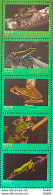 C 4005 Brazil Stamp Fauna Anuros, Frog, Amphibio, 2021 - Ongebruikt