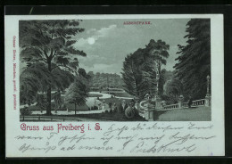 Mondschein-Lithographie Freiberg I. S., Albertpark  - Freiberg (Sachsen)