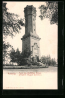 AK Rochlitz, Turm Des Rochlitzer Berges, Friedrich-August-Denkmal  - Rochlitz