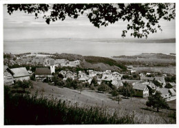 13887508 Wolfhalden AR Panorama Blick Auf Den Bodensee Wolfhalden AR - Autres & Non Classés