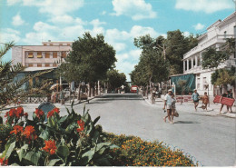 I 47921 RIMINI - MIRAMARE DI RIMINI, Via Uliveti, 1962 - Rimini