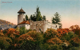 13879128 Birseck Schloss Birseck Birseck - Autres & Non Classés