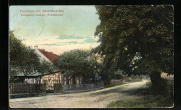 AK Caputh, Flottstelle Am Schwielow-See, Restaurant Gasthaus Schwarz  - Caputh