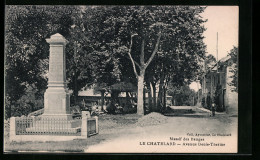 CPA Le Chatelard, Massif Des Bauges, Avenue Denis-Therme  - Le Chatelard