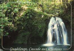 971 GUADELOUPE CASCADE AUX ECREVISSES - Otros & Sin Clasificación