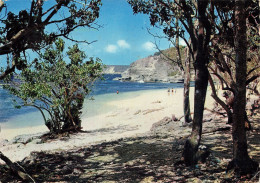 971 GUADELOUPE PLAGE DE L ANSE LABORDE - Autres & Non Classés