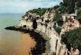 17  MESCHERS LES FALAISES ET LES GROTTES - Meschers