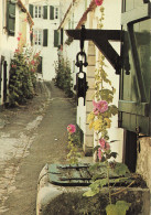 17 SAINT MARTIN EN RE VIEUX PUITS ET RUE FLEURIE - Ile De Ré