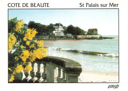 17  SAINT PALAIS SUR MER LA PLAGE  - Saint-Palais-sur-Mer