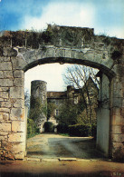 86 LES TROIS MOUTIERS LE CHÂTEAU DE LA MOTHE - Les Trois Moutiers