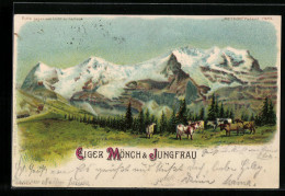 Lithographie Eiger, Mönch Und Jungfrau, Kühe Auf Einer Weide, Halt Gegen Das Licht  - Other & Unclassified
