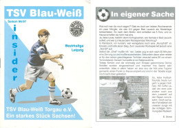 Fußball-Programm PRG TSV Blau-Weiß Torgau Vs SV Alemannia Geithain 10.5.1997 BW SC Hartenfels BSG Chemie Sachsen Leipzig - Programma's