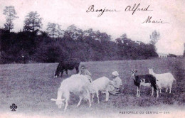 Agriculture -  Pastorale Du Centre - Bergere Et Son Troupeau De Chevres - Elevage