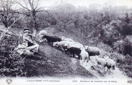  AUVERGNE -  L'Auvergne Pittoresque -  Gardeuse De Moutons Sur Le Talus - Auvergne