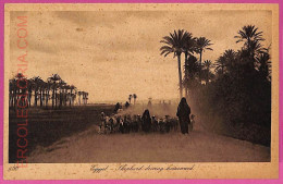 Ag2635  - EGYPT - VINTAGE POSTCARD  - Ethnic - Sonstige & Ohne Zuordnung