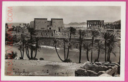 Ag2640  - EGYPT - VINTAGE POSTCARD - Autres & Non Classés