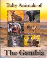 Gambia 2021 Young Animals 6v M/s, Mint NH, Nature - Animals (others & Mixed) - Cat Family - Elephants - Hippopotamus -.. - Gambie (...-1964)