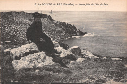 29-LA POINTE DU RAZ-N°T5067-B/0303 - La Pointe Du Raz