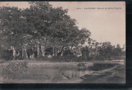 Cpa Haiphong Banian Et Petite Pagode - Viêt-Nam