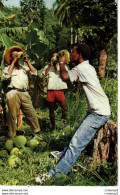 MARTINIQUE N°55 En Buvant Des Noix De Coco Photo Félix Rose Rosette VOIR DOS - Sonstige & Ohne Zuordnung