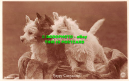 R497514 Happy Companions. Rotary Photo. Postcard - World